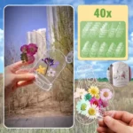 FLOWERMARKS™ MARCAPÁGINAS DE FLORES SECAS TRANSPARENTES – 80 UDS. 1+1 GRATIS!